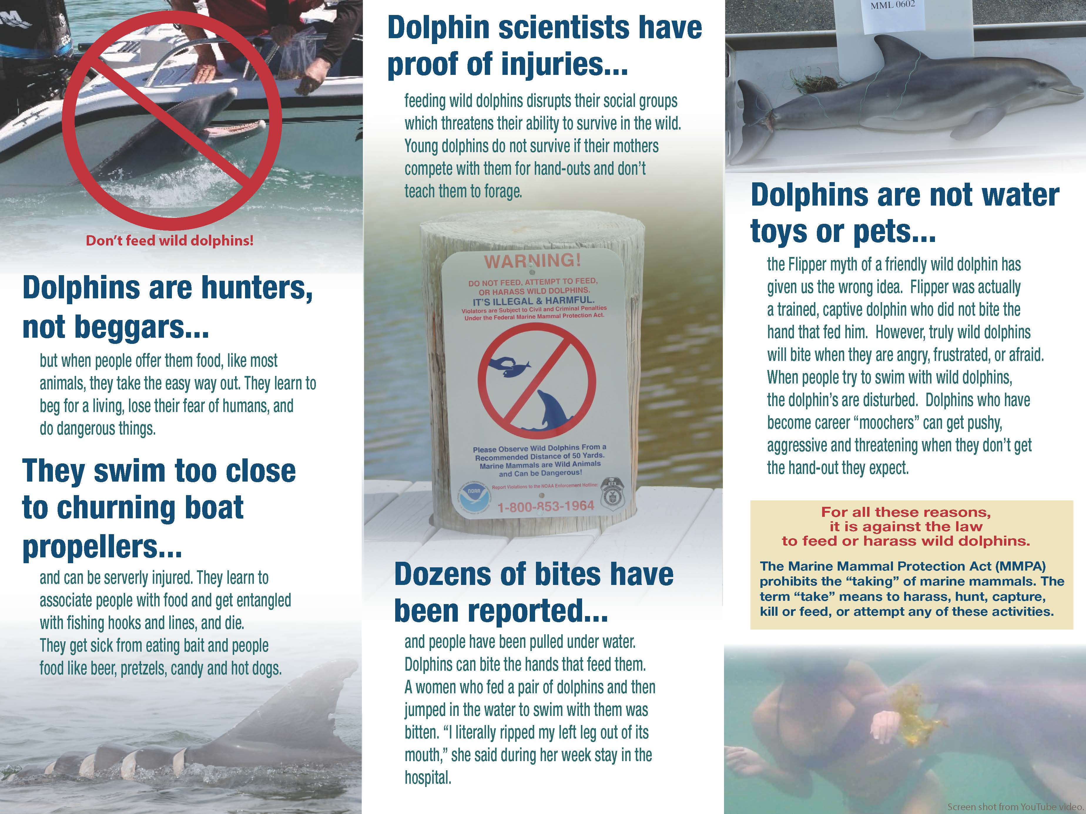 Protect Dolphins_FINAL_Page_2