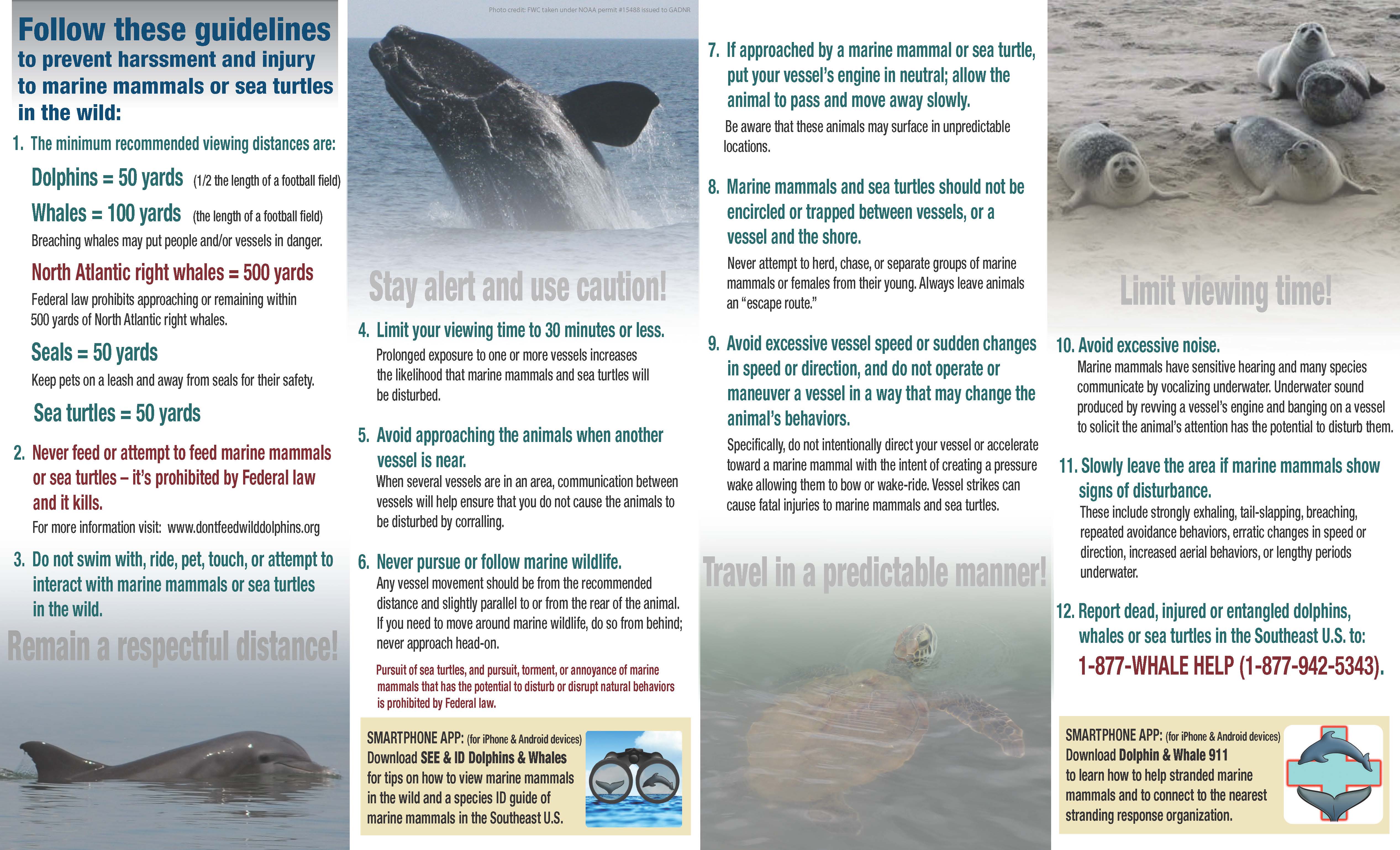 SEUS_ViewingGuidelines_2017_Page_2