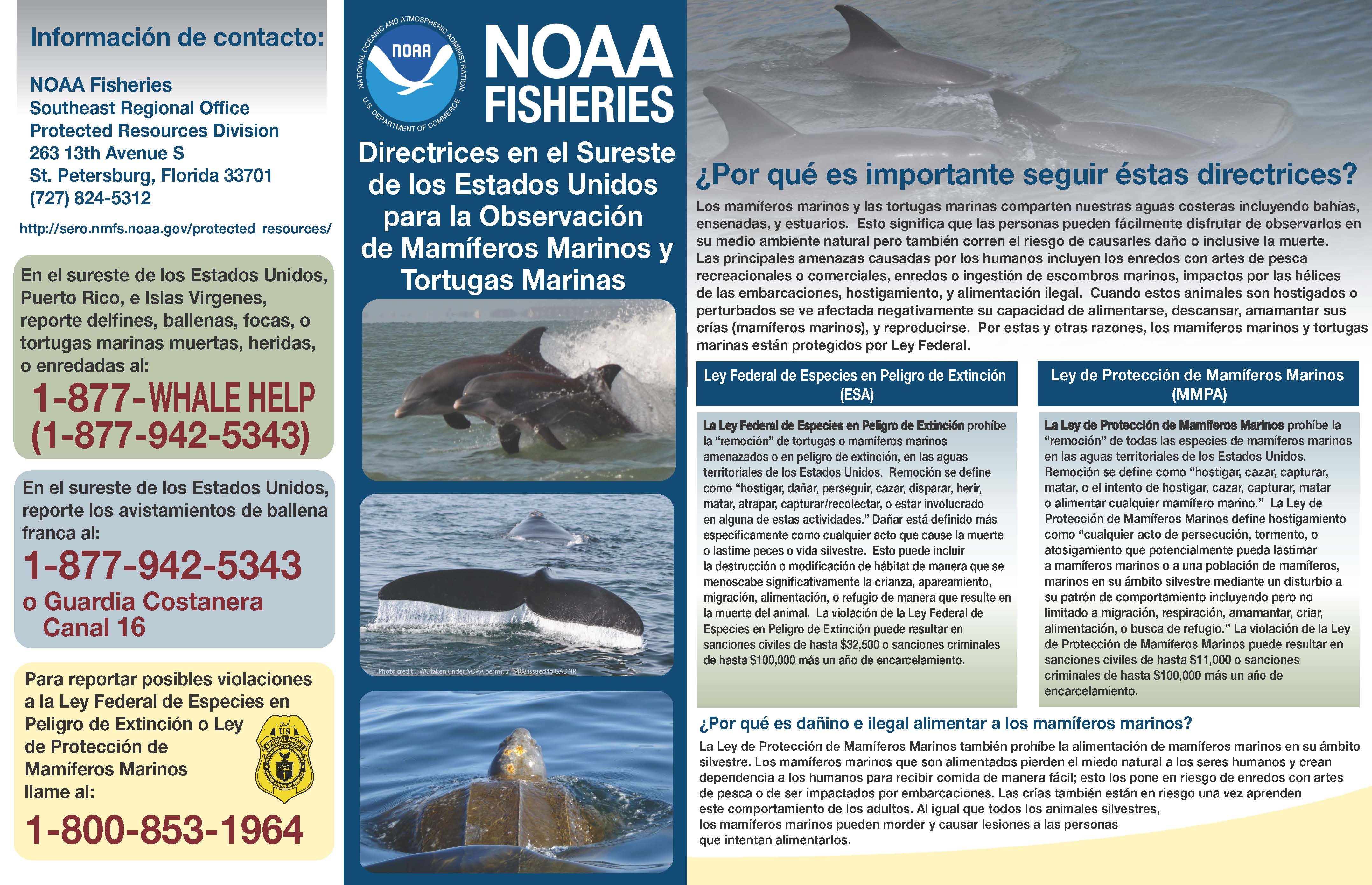 SEUS_ViewingGuidelines_spanish_Page_1