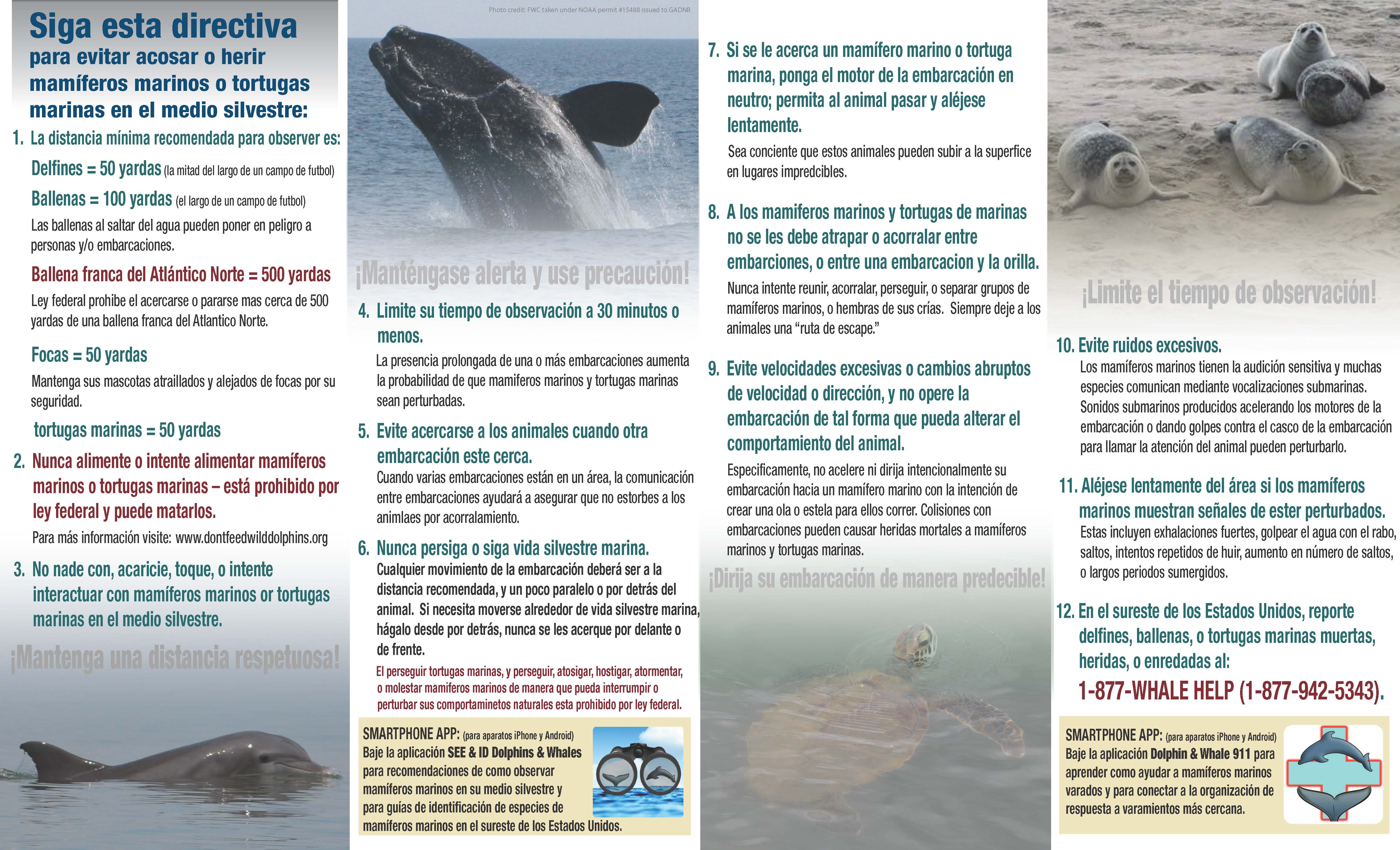 SEUS_ViewingGuidelines_spanish_Page_2