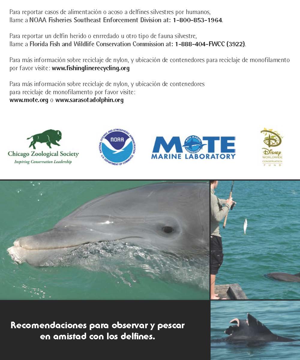 dolphin_interaction_card_espanol_Page_1