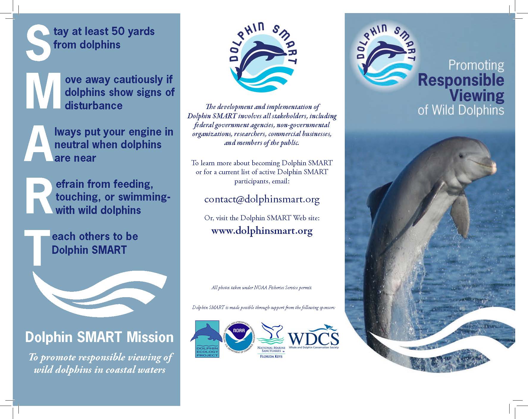 dolphin_smart_Page_1